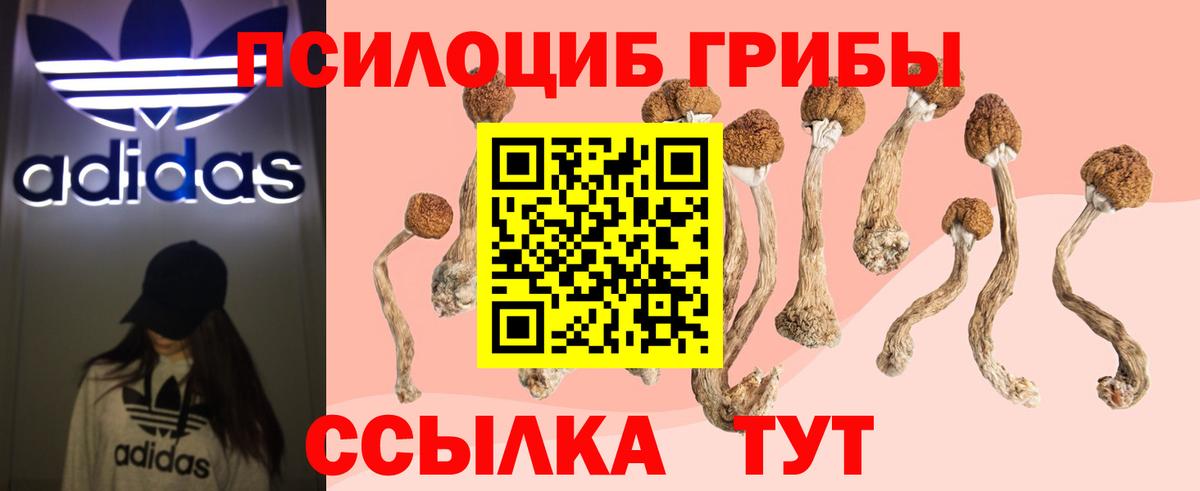 Псилоцибиновые грибы MAGIC MUSHROOMS Надым